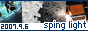 spinlight
